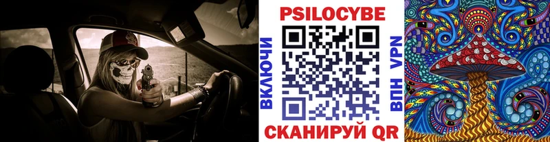 гидра ССЫЛКА  Полесск  Галлюциногенные грибы ЛСД 